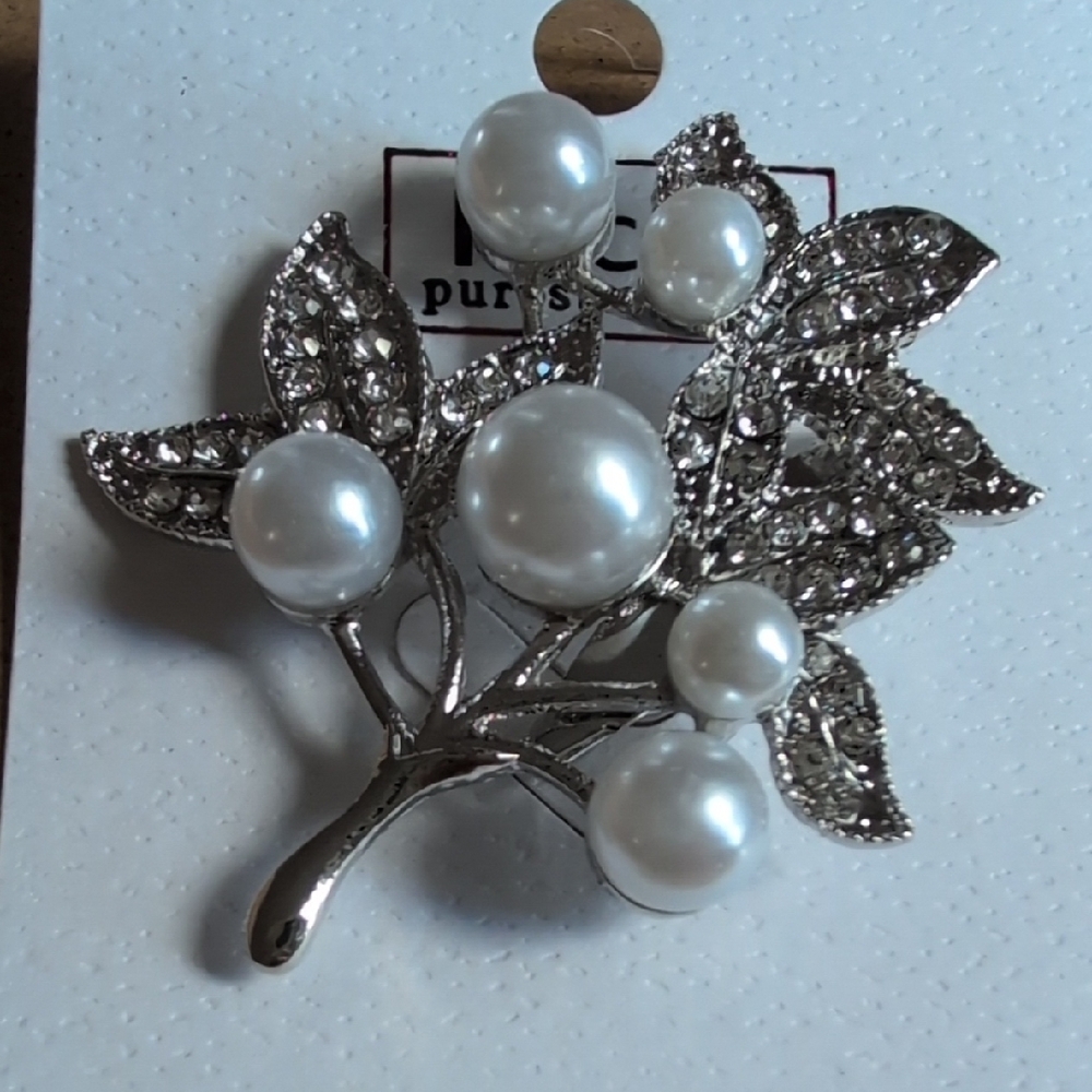 Elegant Silver and White Brooch